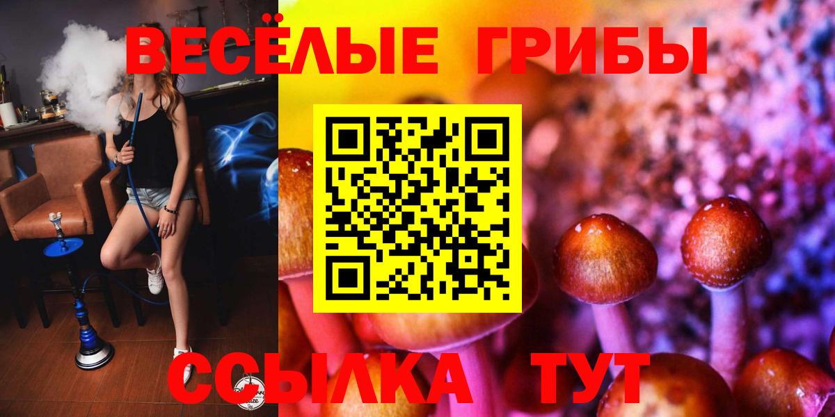 Псилоцибиновые грибы прущие грибы Лесозаводск
