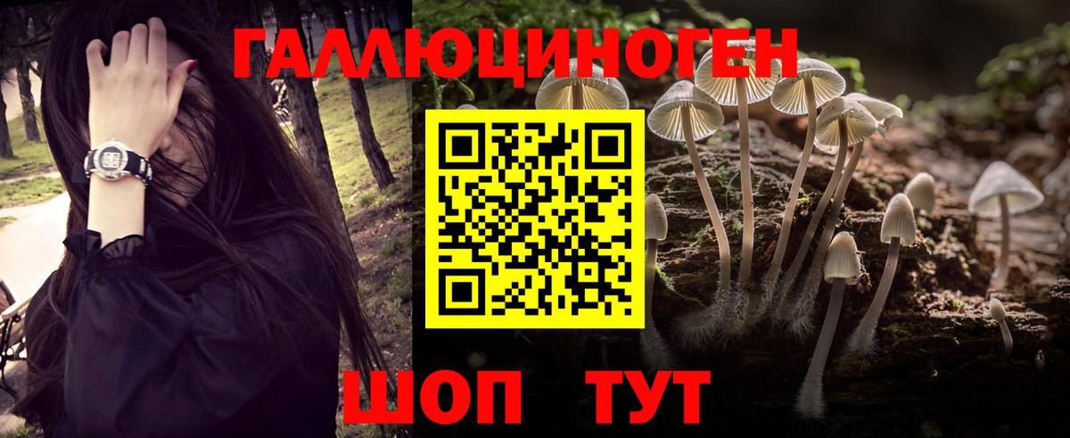 Галлюциногенные грибы GOLDEN TEACHER  Вход с VPN  Лесозаводск 